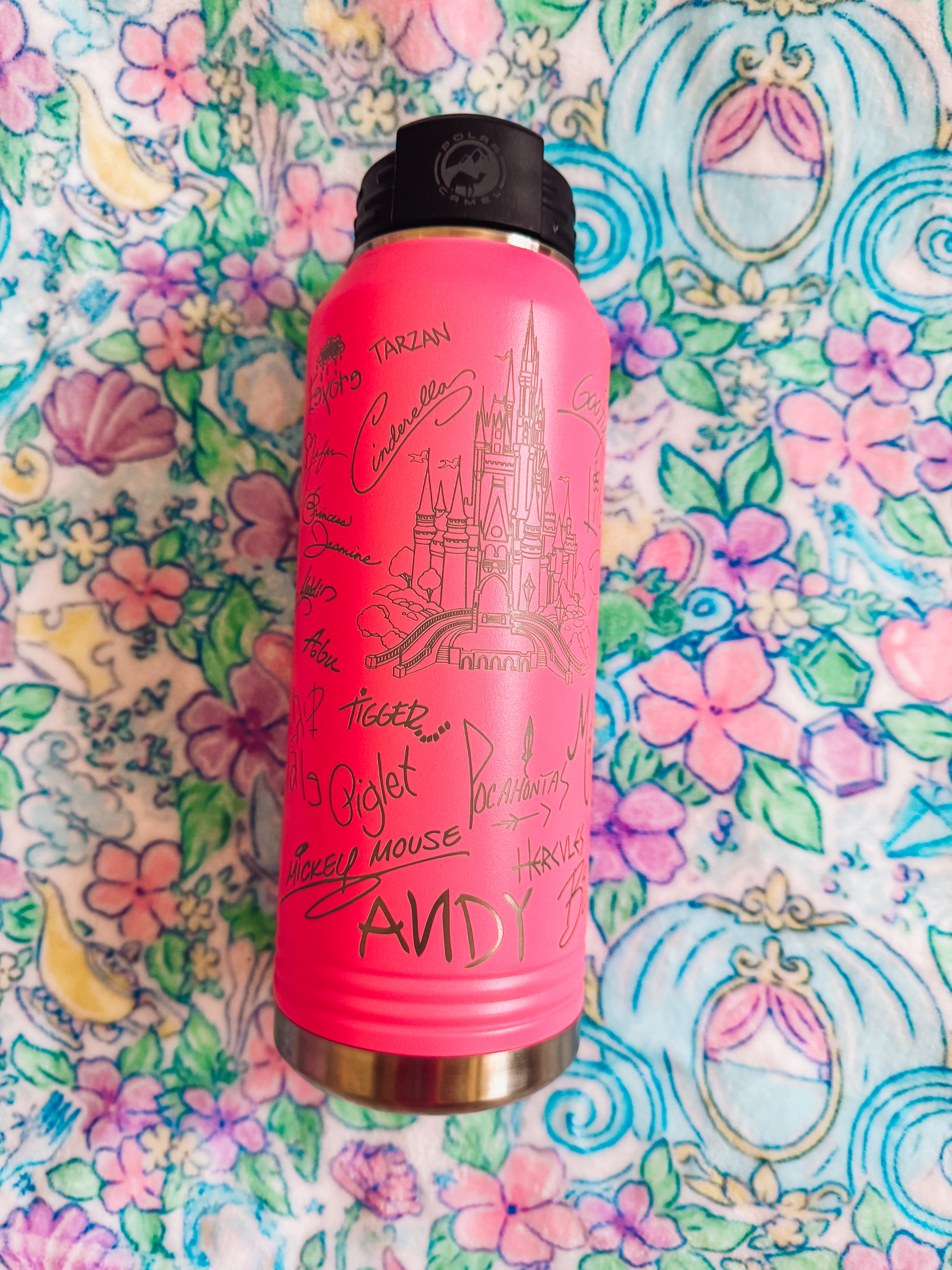 Pink Castle Autograph Water Bottle 32oz